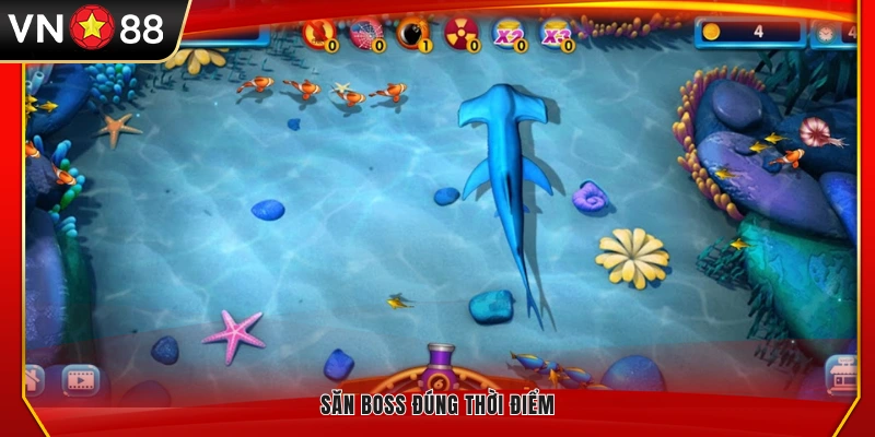 Tận dụng lúc cá boss xuất hiện để săn