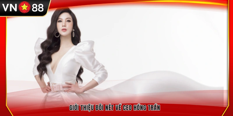 Khái quát thông tin nổi bật về CEO Hồng Trần