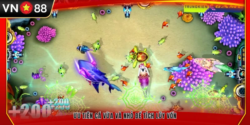 Mẹo bắn cá online tập trung bắn cá nhỏ và vừa để gom xu