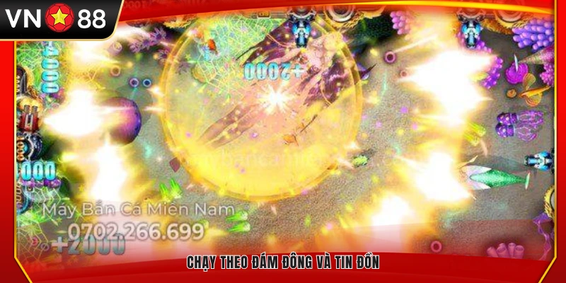 Nghe theo tin đồn và cược theo số đông