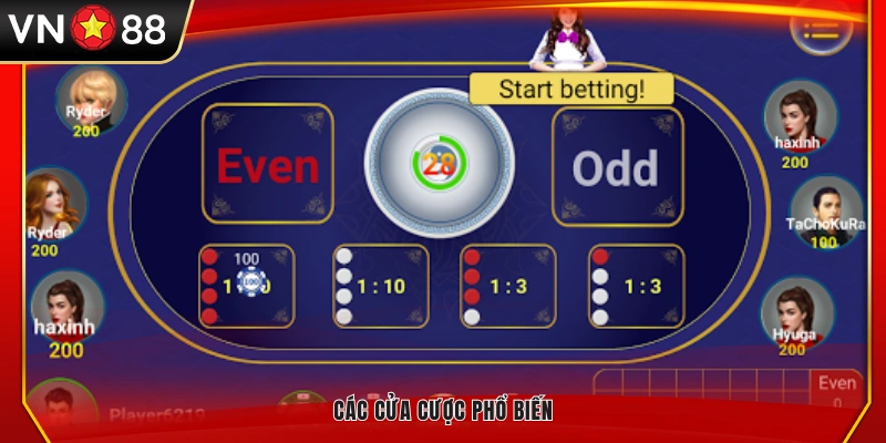 Những lựa chọn cược thường gặp trong Xóc đĩa